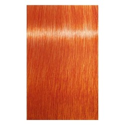 ESPUMA DE COLOR 200ML DE INDOLA